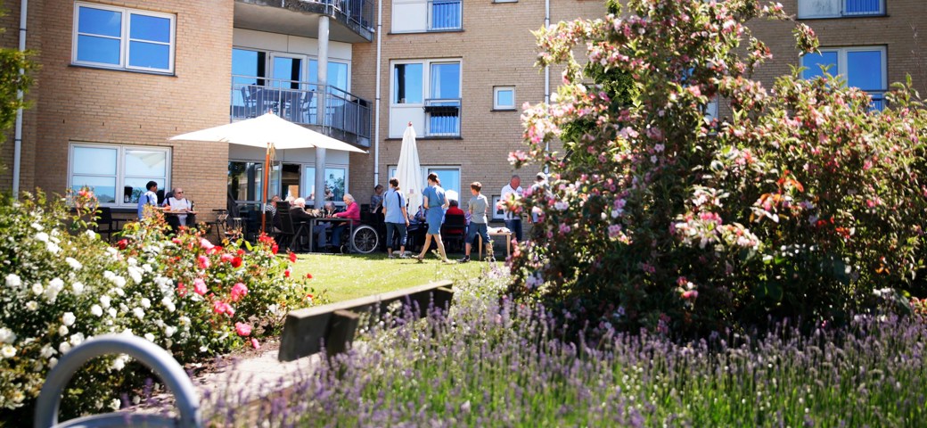 Birke Bo set fra haven mens der er grillfest