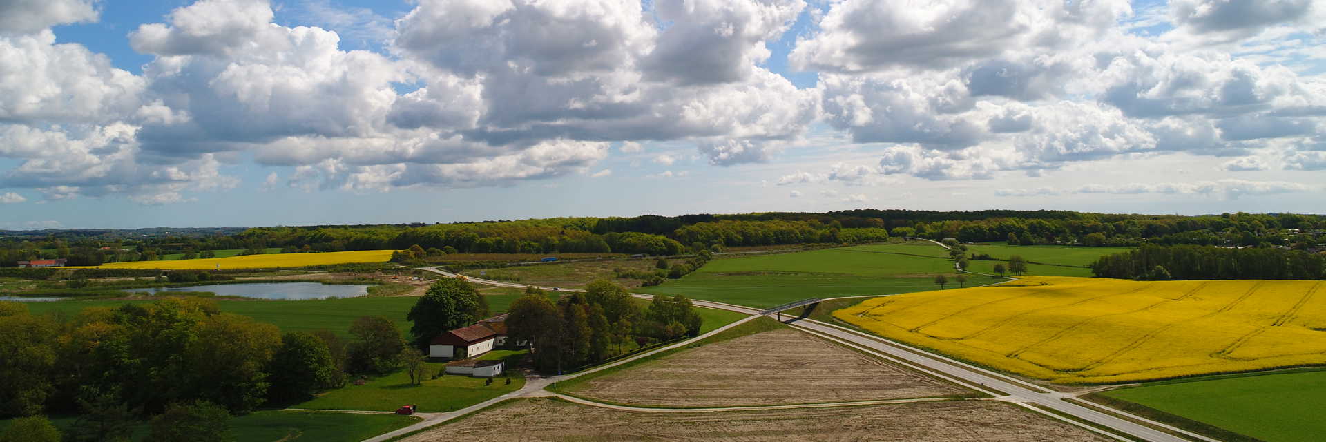 Udsigt over mark og rapsmark med blå himmel og hvide skyer i Næstved Kommune